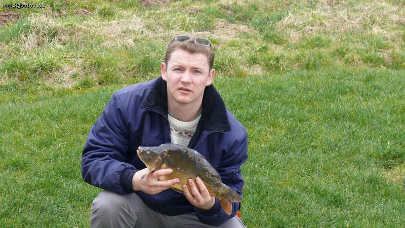 --������ � 2008 31.03.2008 - ������� (����������)