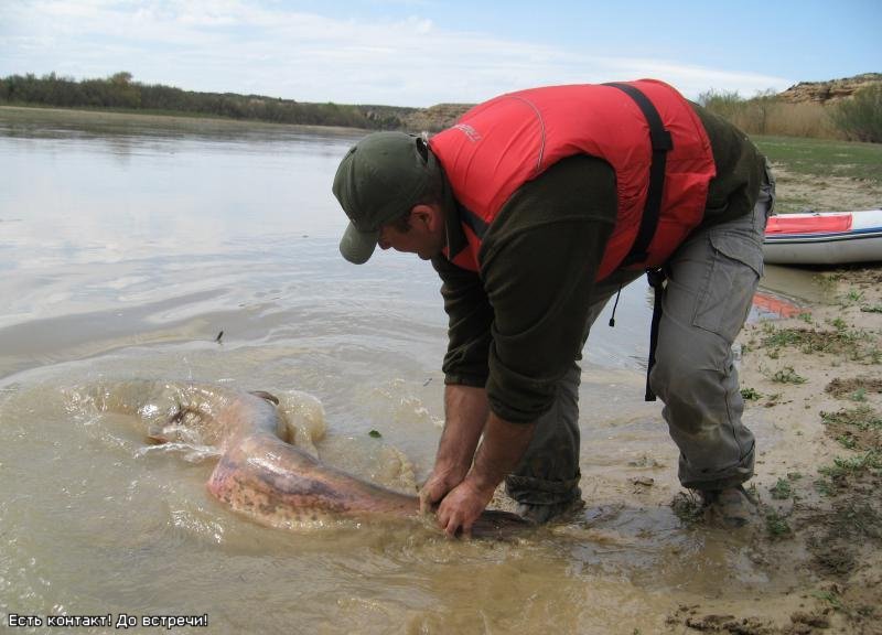 --� ��� � ������ � ���� ����! - ������� (����������)