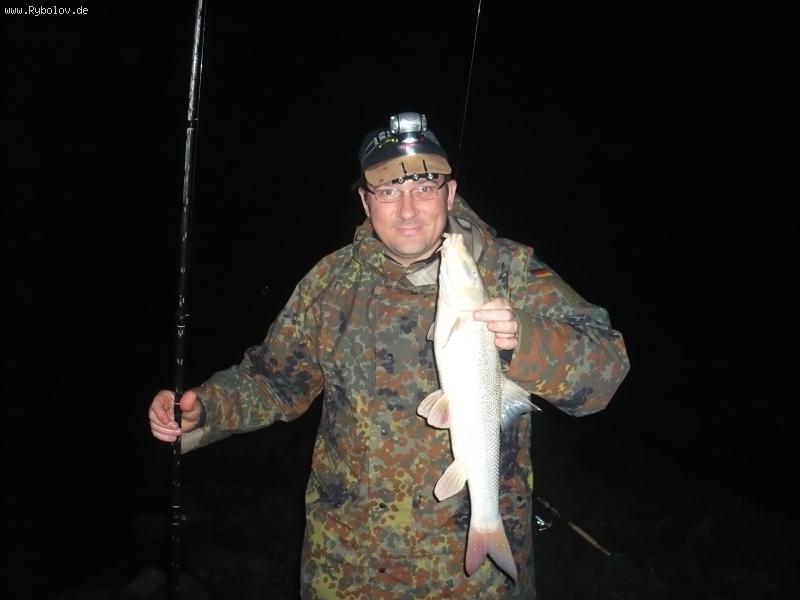 --������ ����� ������� - ������� (����������)