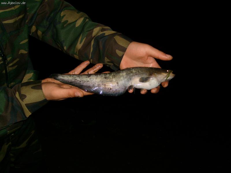 --Prijatnie vospominania 2007-go. - рыбалка (фотоальбом)