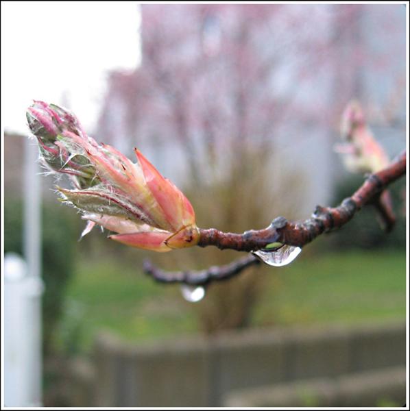 --�� ��������� ������� (�����������) - ������� (����������)