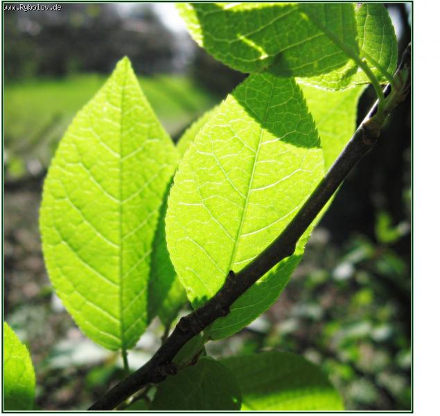 --�� ��������� ������� (�����������) - ������� (����������)