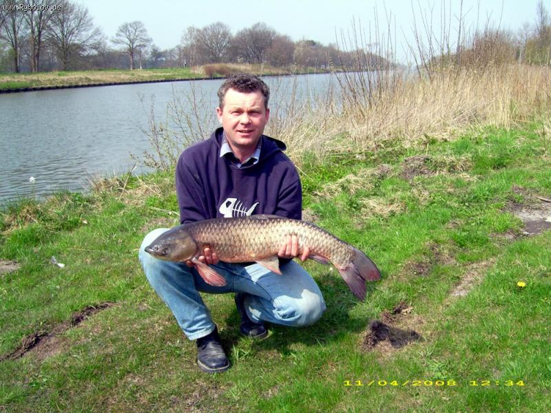 --������ � ��� �� �����.. - ������� (����������)