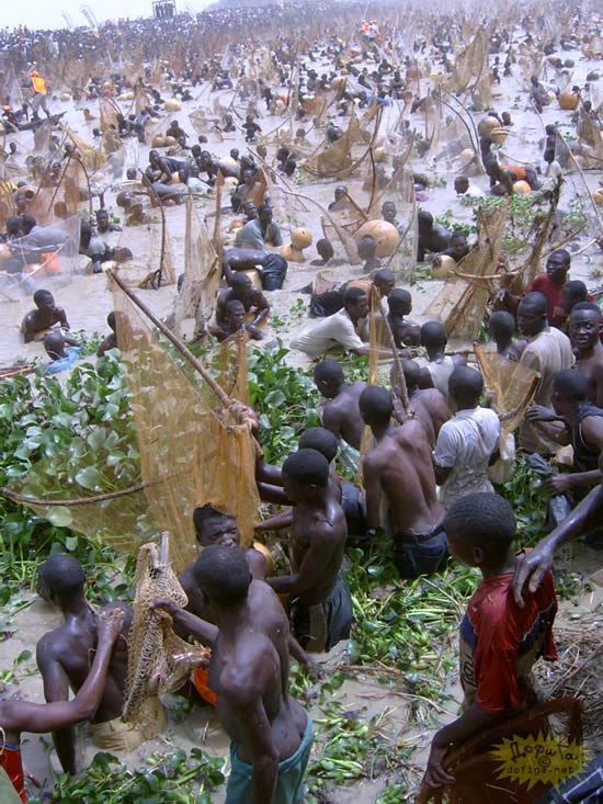 --Afr2 - ������� (����������)