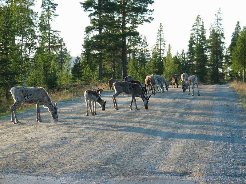 --������ ��������� ��������� ... - ������� (����������)