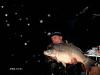 Blesk v glazah,-no ne volicii... -  ()