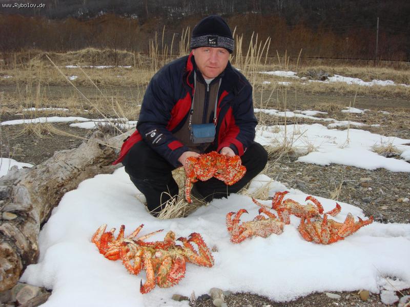 --����� - ������� (����������)