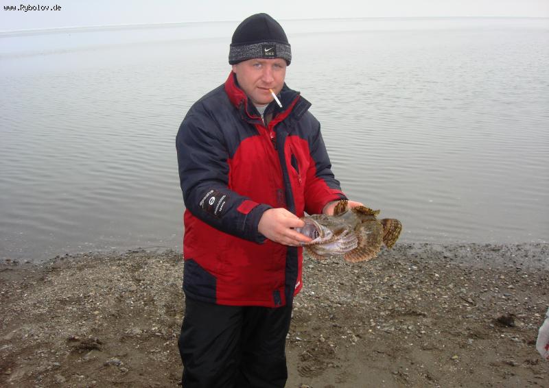 --������� �� �������� - ������� (����������)