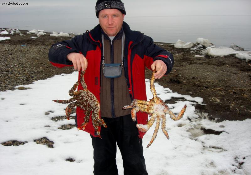 --������� �� �������� ������ 2008 - ������� (����������)