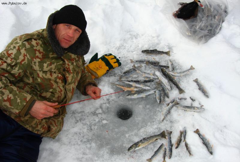 --����� ������ - ������� (����������)