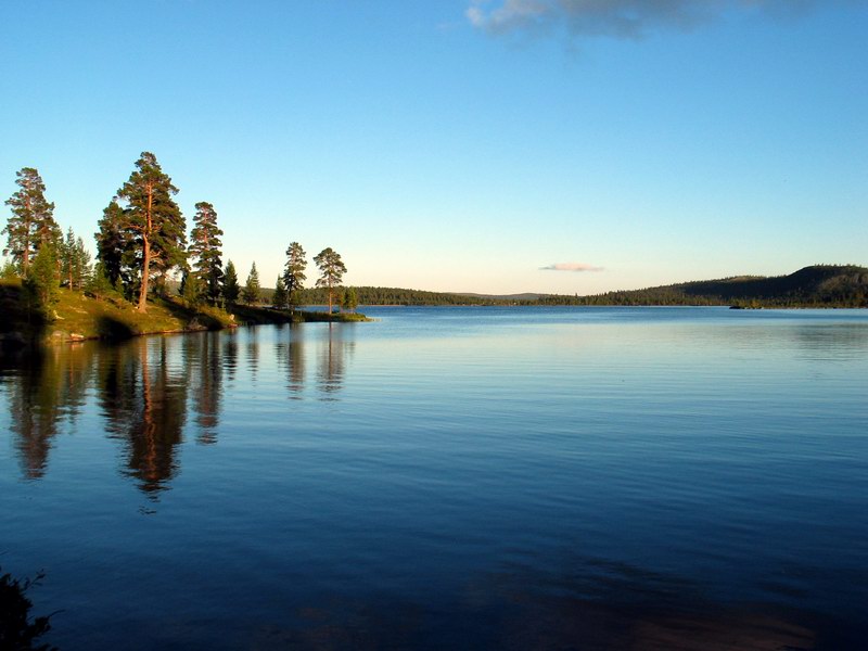 --���  �� - ������� (����������)