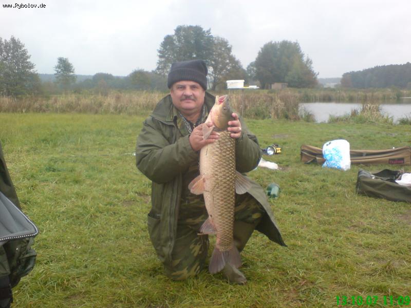 --������ ���� - ������� (����������)