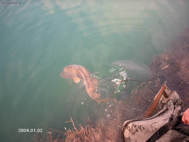 --   ......( ,, ....) -  ()