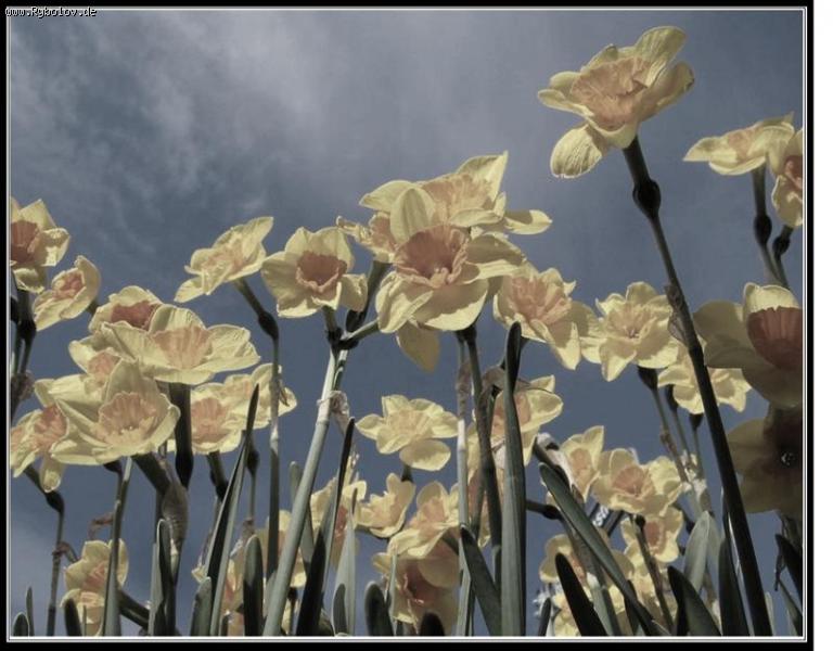 --�� ��������� ������� (�����������) - ������� (����������)