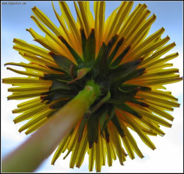 --Из весеннего альбома (продолжение) - рыбалка (фотоальбом)