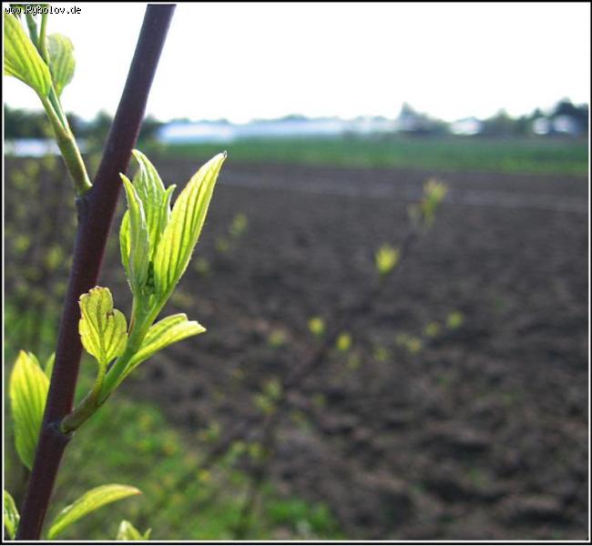 --�� ��������� ������� (�����������) - ������� (����������)