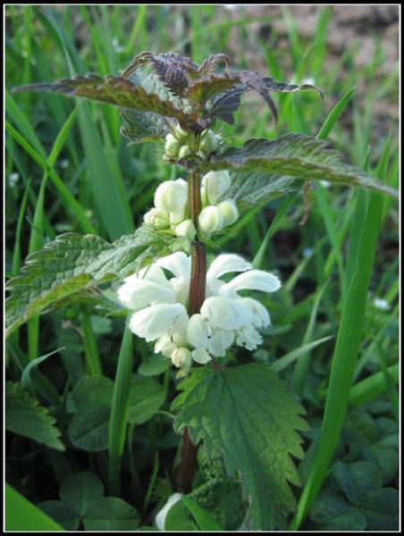 --�� ��������� ������� (�����������) - ������� (����������)