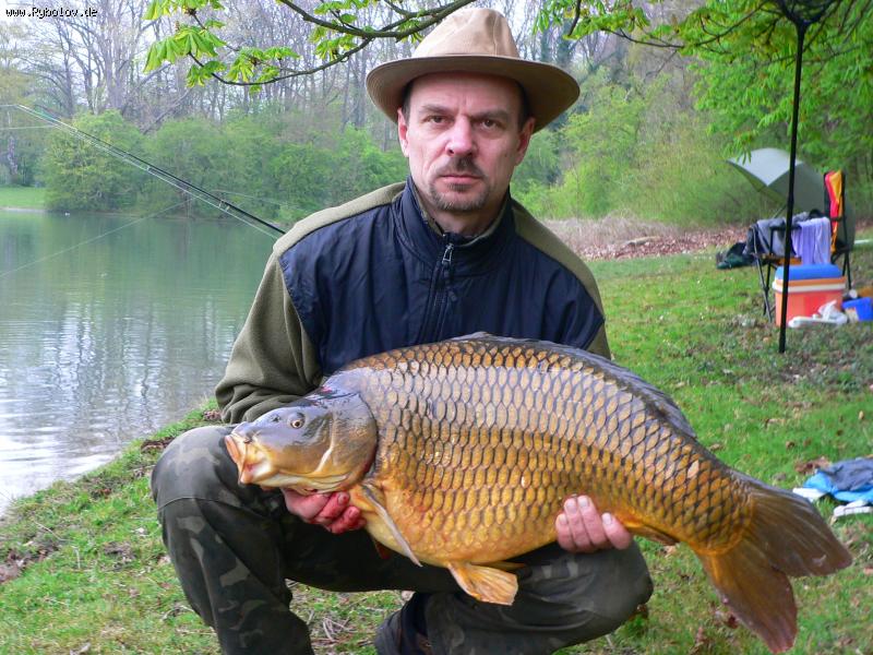 --���� - ������� (����������)