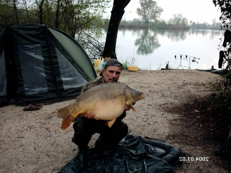--  40 lb -  ()