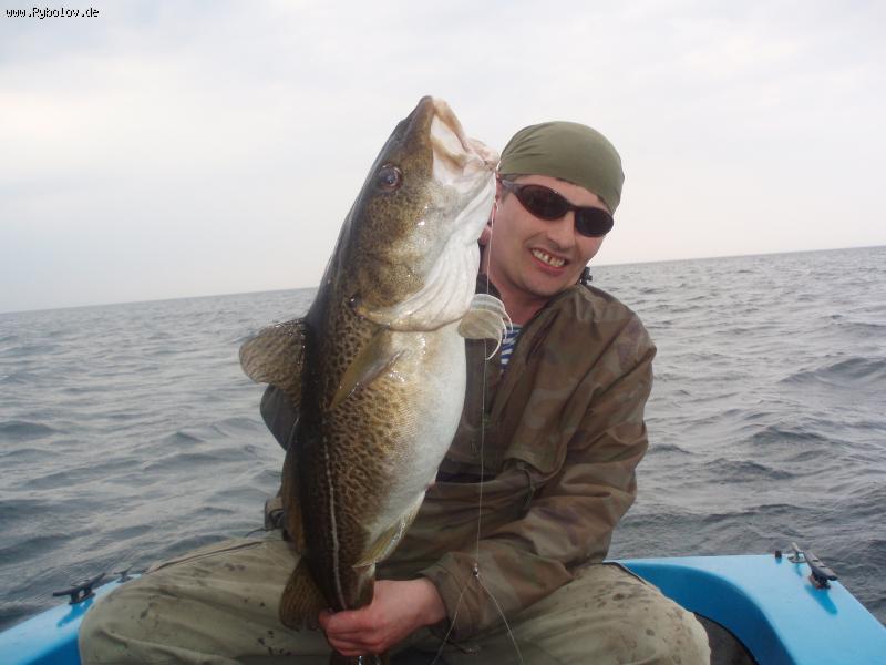 --����� , ������ ������ - 80 ��. Ostsee. - ������� (����������)