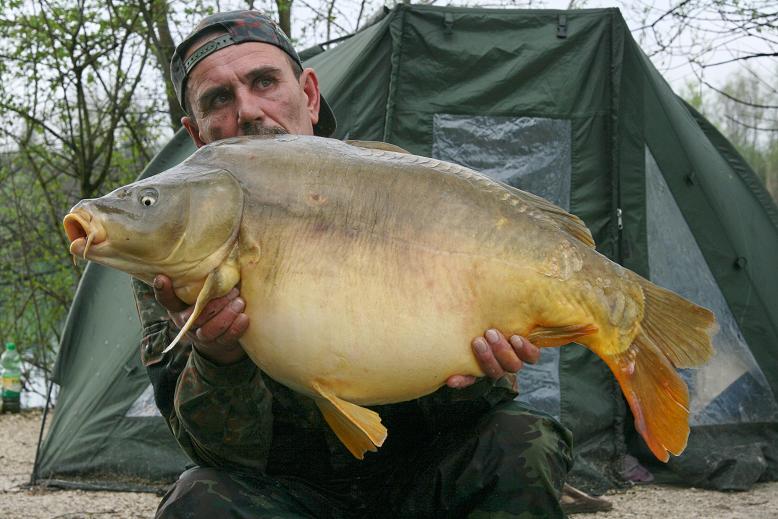 --Dubl - ������� (����������)