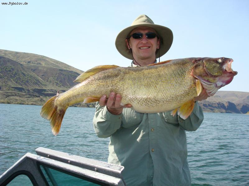 --�����  �� ���� Columbia USA - ������� (����������)