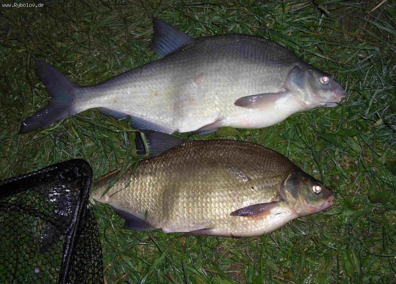 --������� ��������... - ������� (����������)