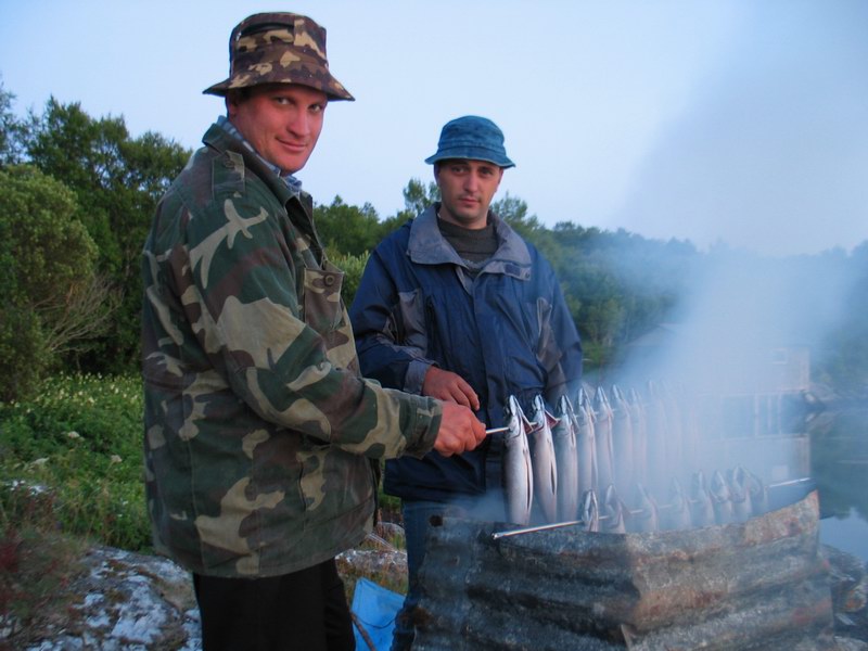 --����������� �������� - ������� (����������)