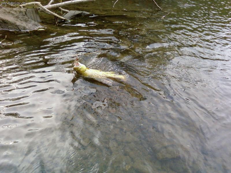 --��������� �������� � ���������� �����... - ������� (����������)