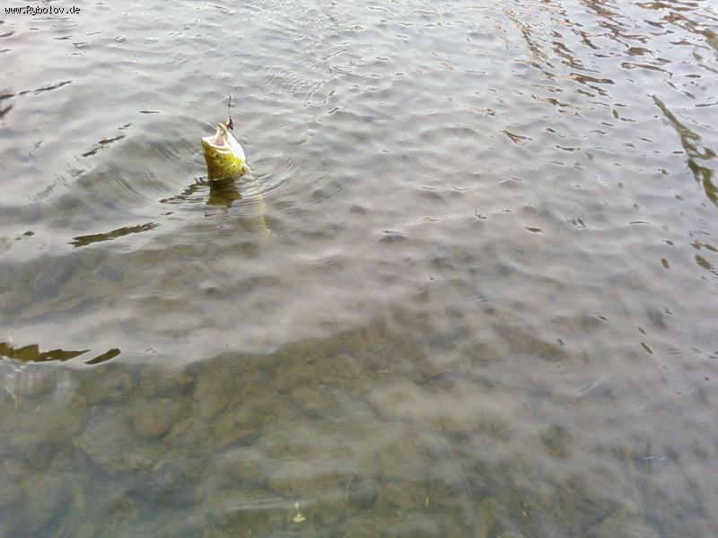 --��������� ��� ������ � ���� ��������...? - ������� (����������)