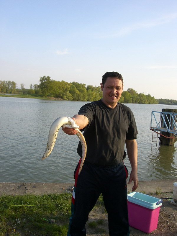 --��� ���� ������ ������ ��� ����. - ������� (����������)