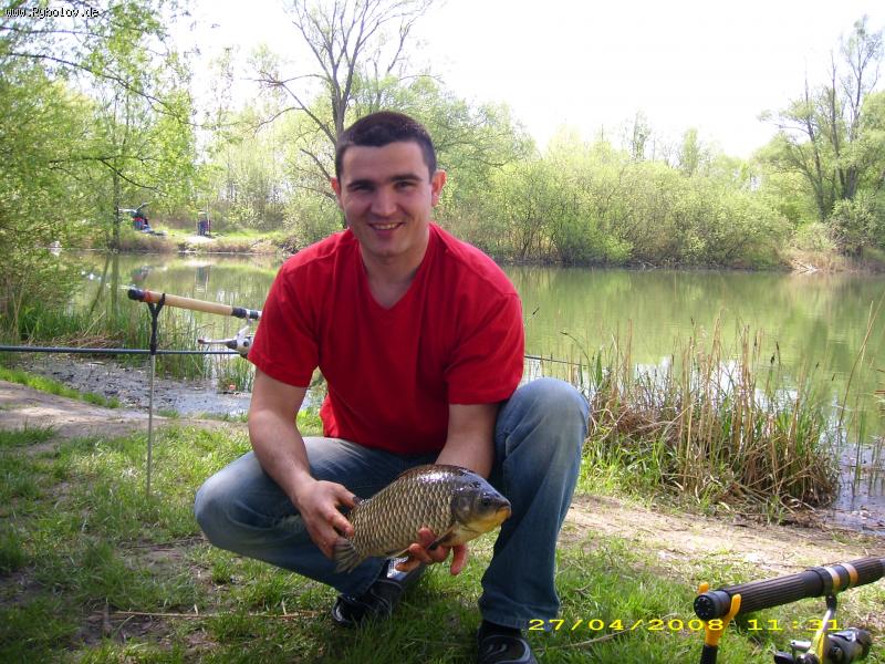 --����������� ������ (Giebel) - ������� (����������)