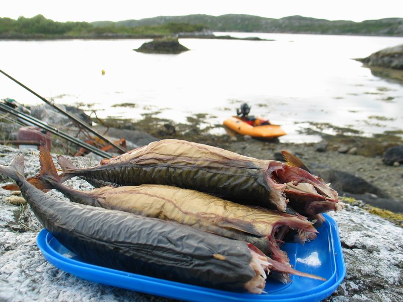 --��������� - ������� (����������)