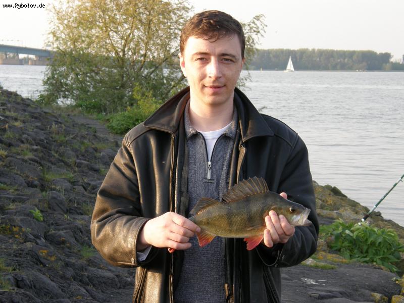 --����� - ������� (����������)