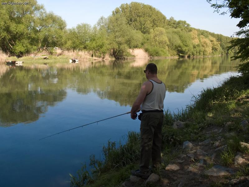 --Alt-Rhein_2 - ������� (����������)