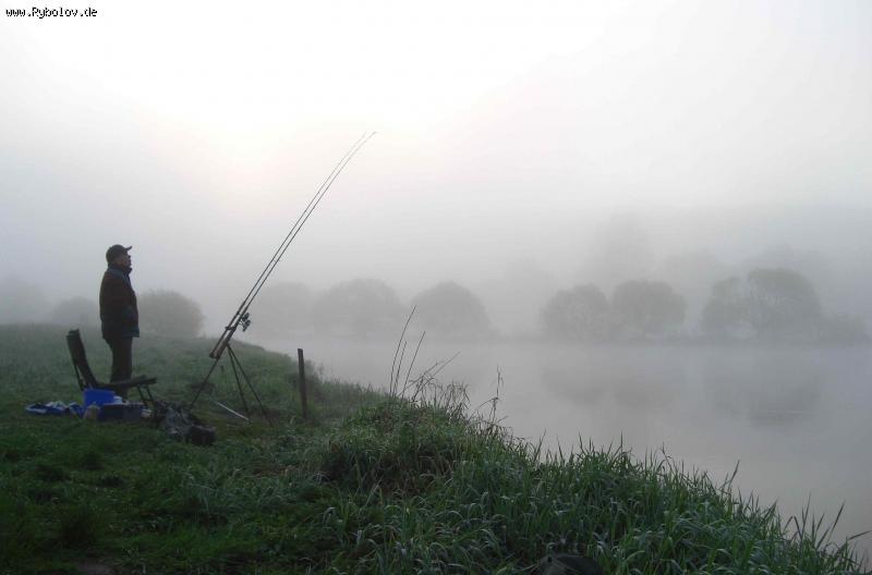 --� ��������. - ������� (����������)