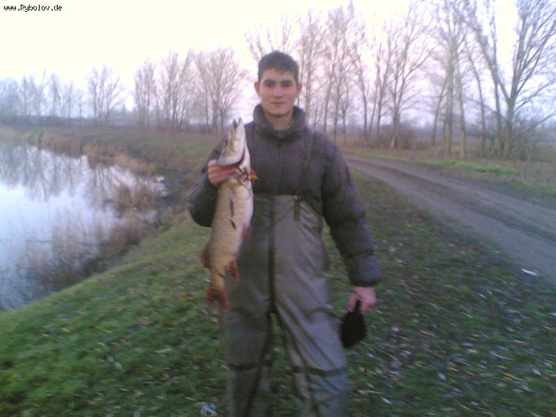 --���� - ������� (����������)