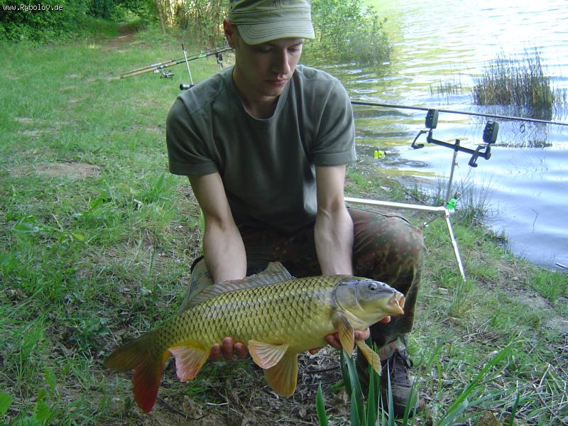 --Kap� - ������� (����������)