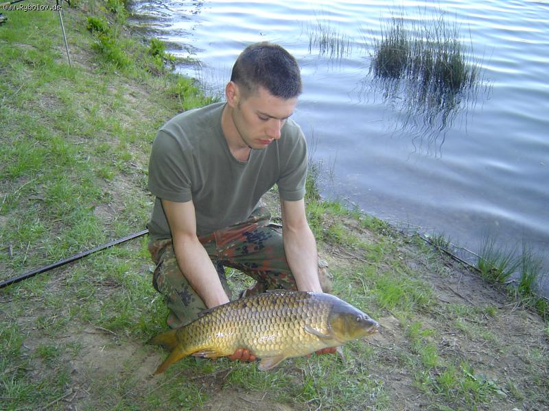 --���� - ������� (����������)