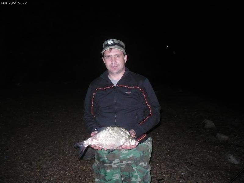 --������ ���� - ������� (����������)