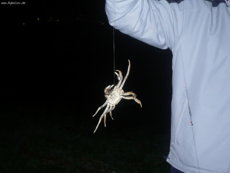 --���� - ������� (����������)