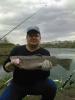 Lachs -  ()
