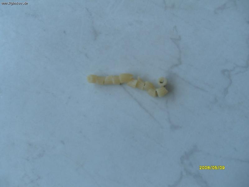 --Vot takim sposobom ja zakrepljü Makaroni - ������� (����������)