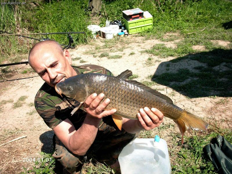 --             - ? -  ()