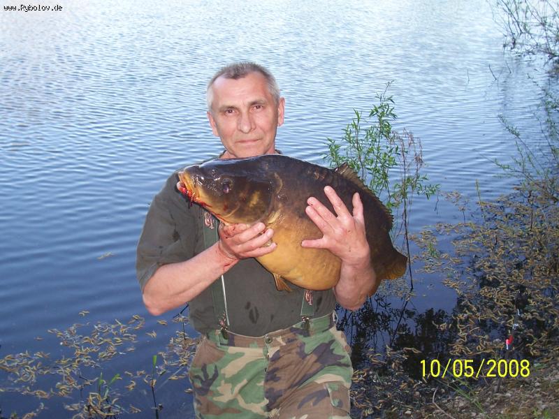 --�����  12 ��  ���� ���� ��� ����� �����������. - ������� (����������)