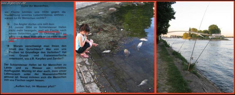 --������� � ������� ����. - ������� (����������)