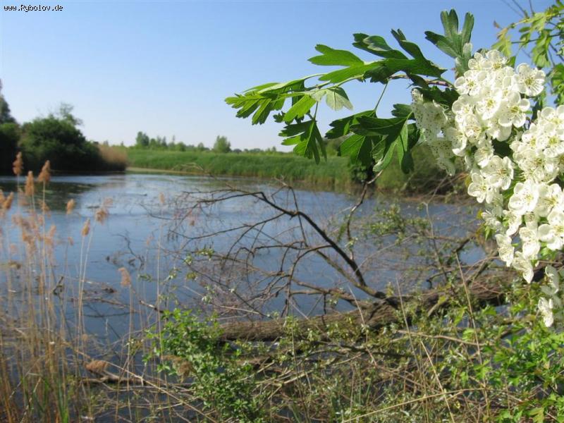 --����� ��  �����. - ������� (����������)