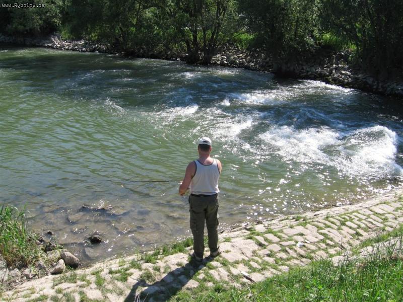 --Creatur  �� �������. - ������� (����������)