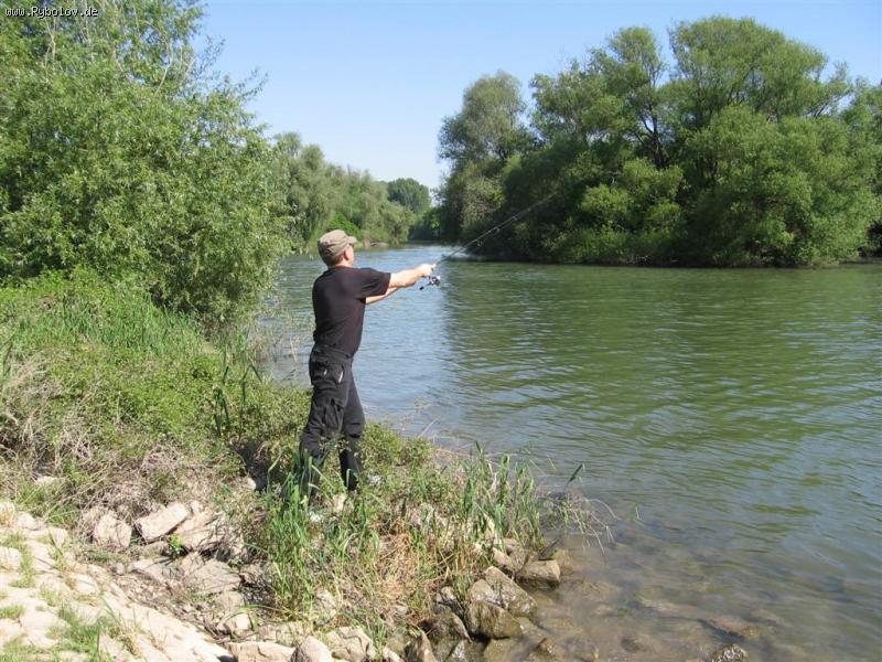 --������. - ������� (����������)