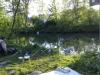 Abens bei Kelheim,Neustadt an der Donau -  ()